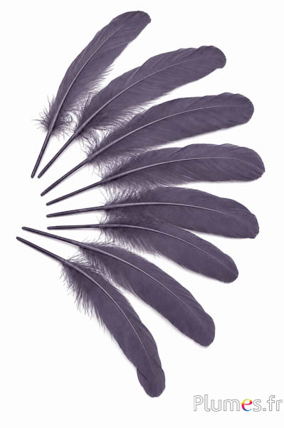 Gans - 15-21 cm - antrazit